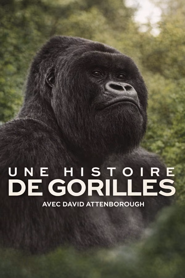 Une histoire de gorilles avec David Attenborough - A Gorilla Story: Told by David Attenborough (2026)