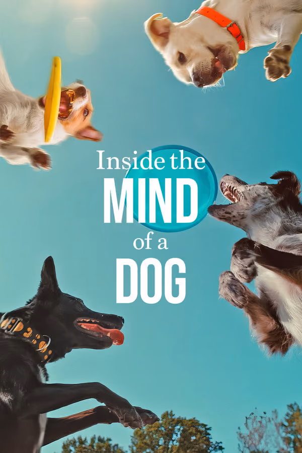 Was Hunde denken -Inside the Mind of a Dog (2024)