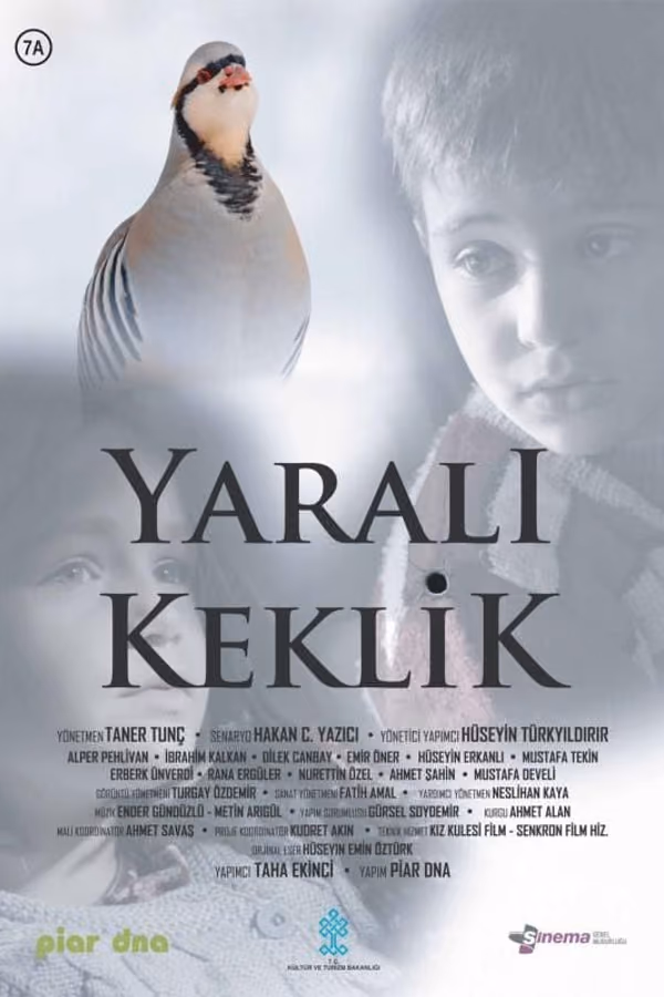 Yaralı Keklik (2019)